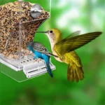Automatic Bird Feeder with No Mess Accessories for Small and Medium Parakeets 2 Colours - Image 2