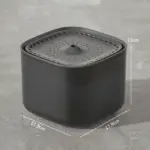 Black Regular